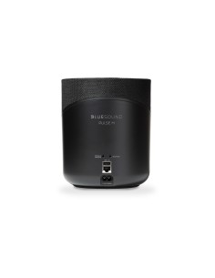 Bluesound Pulse M