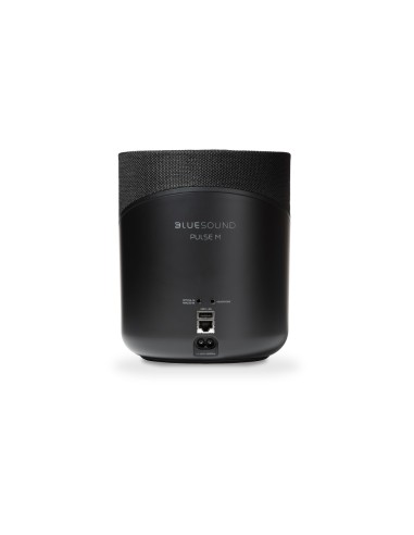 Bluesound Pulse M