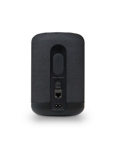 Bluesound Pulse Flex (2025) 2