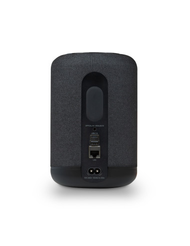 Bluesound Pulse Flex (2025)