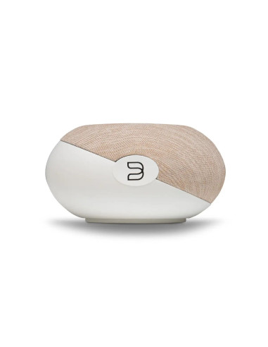 Bluesound Plus Cinema Mini