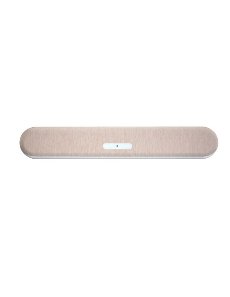 Bluesound Plus Cinema Mini
