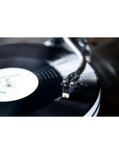 Rainier Phono Cartridge MM 2