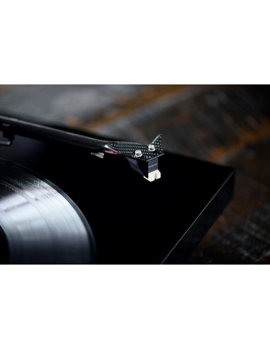 Rainier Phono Cartridge MM