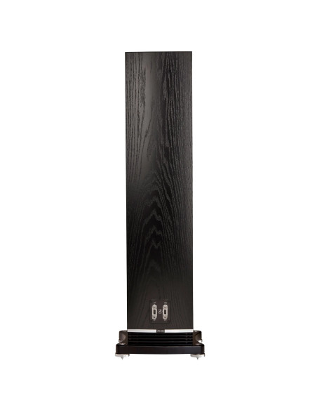 F502 Black Oak