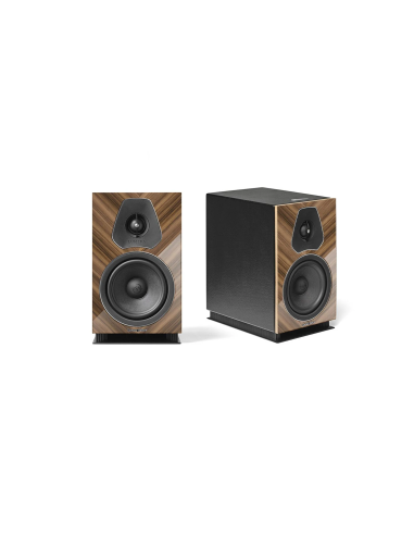 Lumina II Amator Walnut