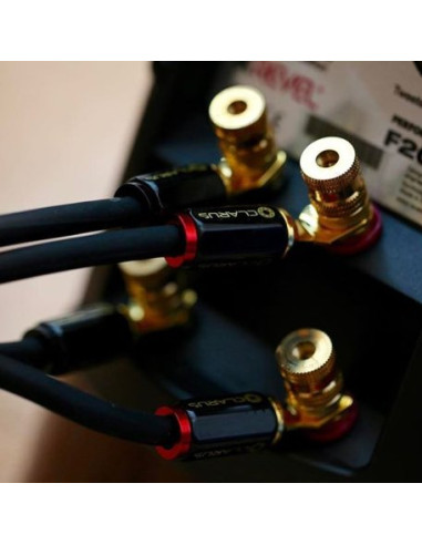 Clarus Crimson Speaker LUG 10 ft