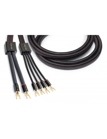 Clarus Crimson Speaker LUG 10 ft