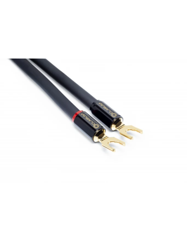 Clarus Crimson Speaker LUG 10 ft