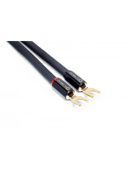 Clarus Crimson Speaker LUG 10 ft