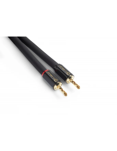 Clarus Crimson Speaker LUG 10 ft