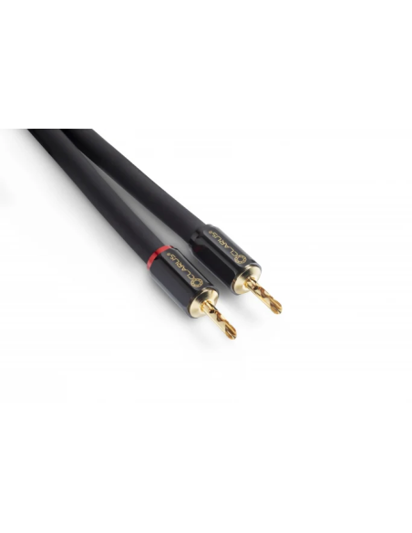 Clarus Crimson Speaker LUG 10 ft