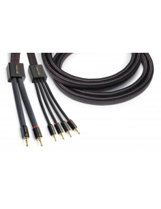 Clarus Crimson Speaker LUG 10 ft 2