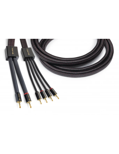 Clarus Crimson Speaker LUG 10 ft