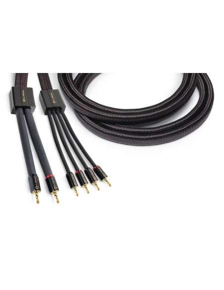 Clarus Crimson Speaker LUG 10 ft