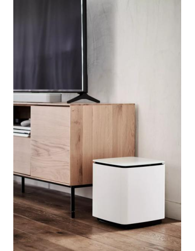 Bose Bass Module 700