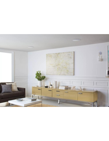 Bose Virtually Invisible® 791 Series II in-ceiling speakers